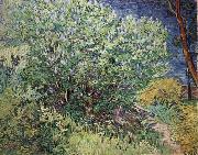 Vincent Van Gogh The Bush oil painting reproduction